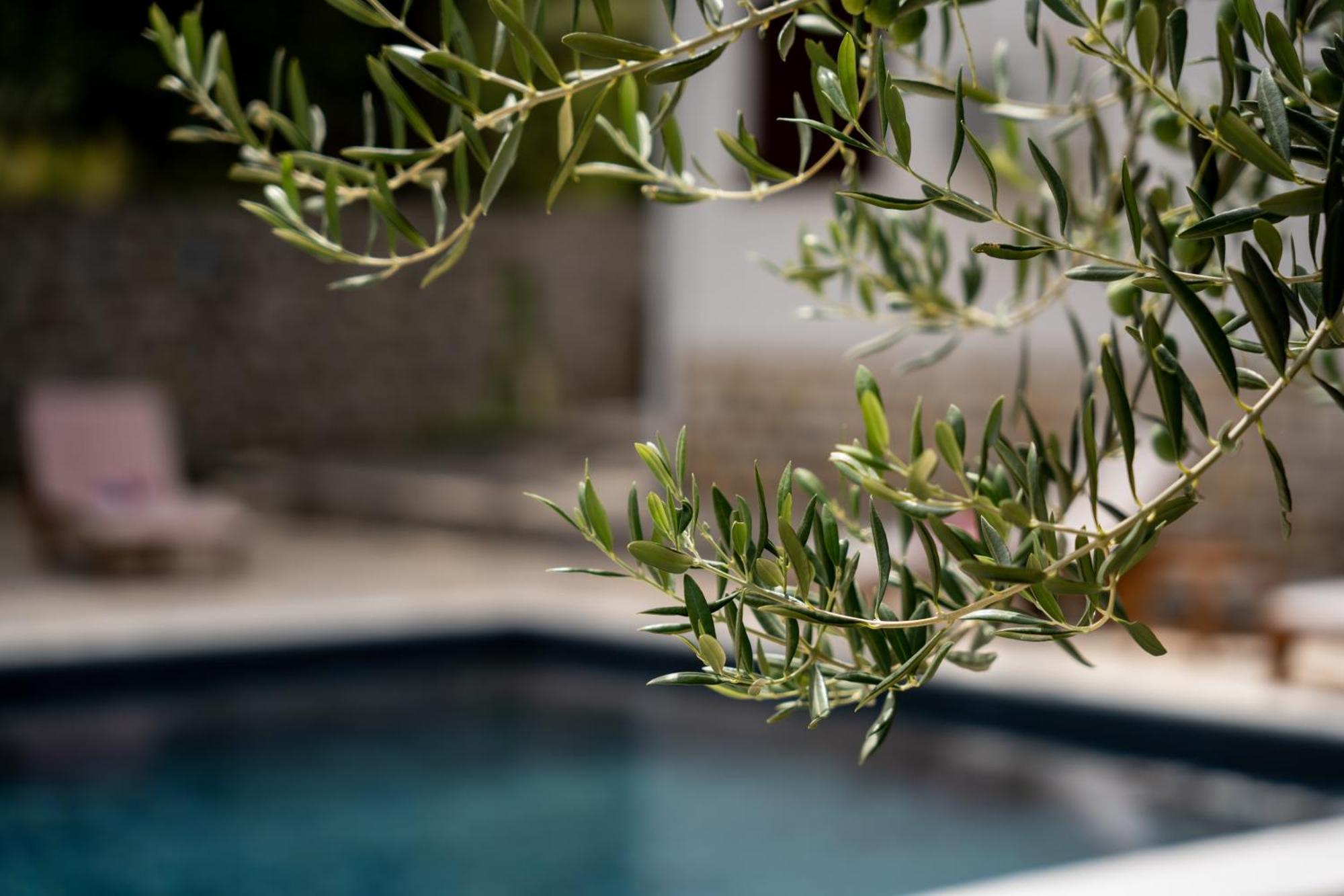 Villa Pag Dubrava Relax With Pool Bosana 외부 사진