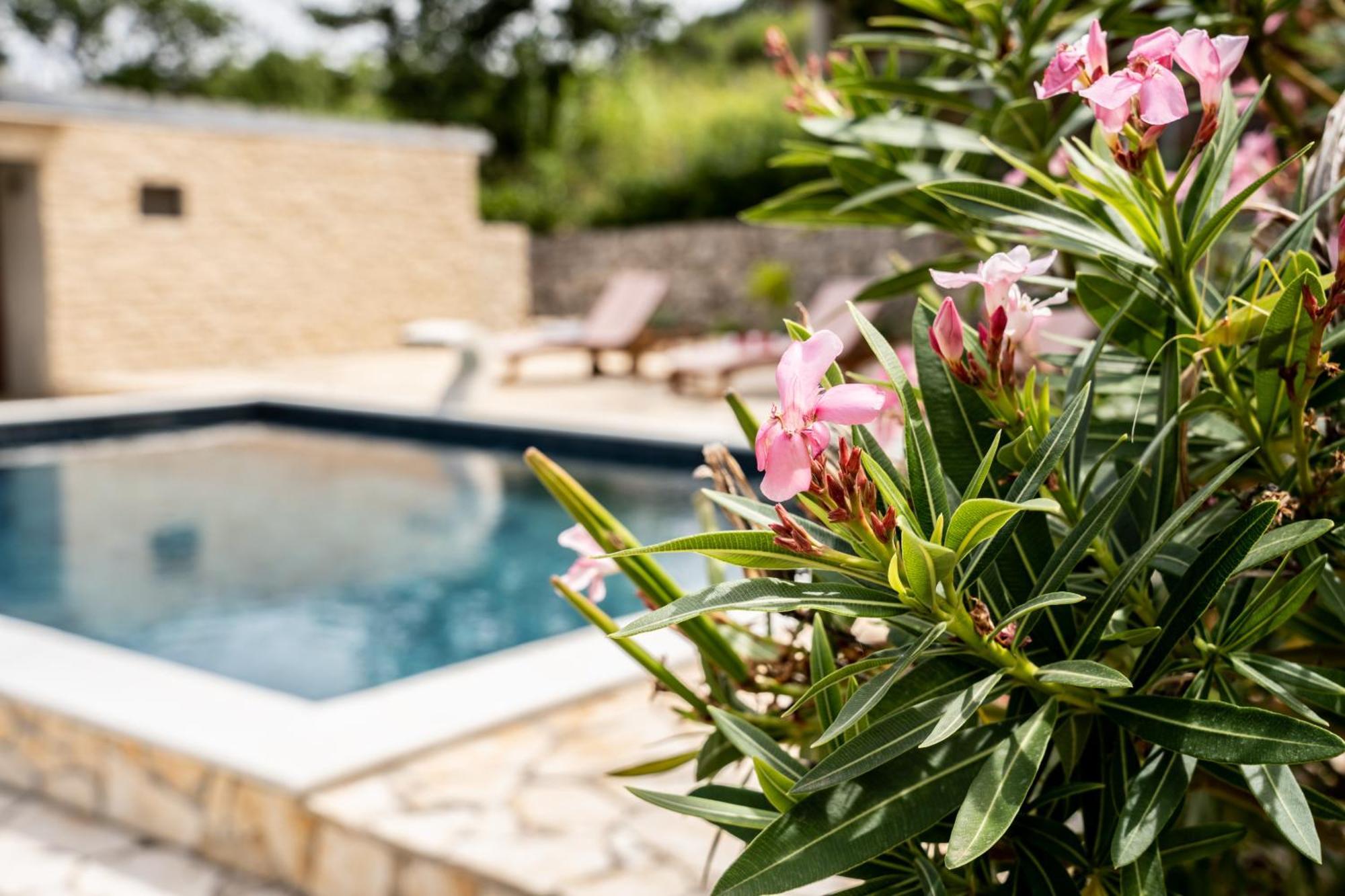 Villa Pag Dubrava Relax With Pool Bosana 외부 사진